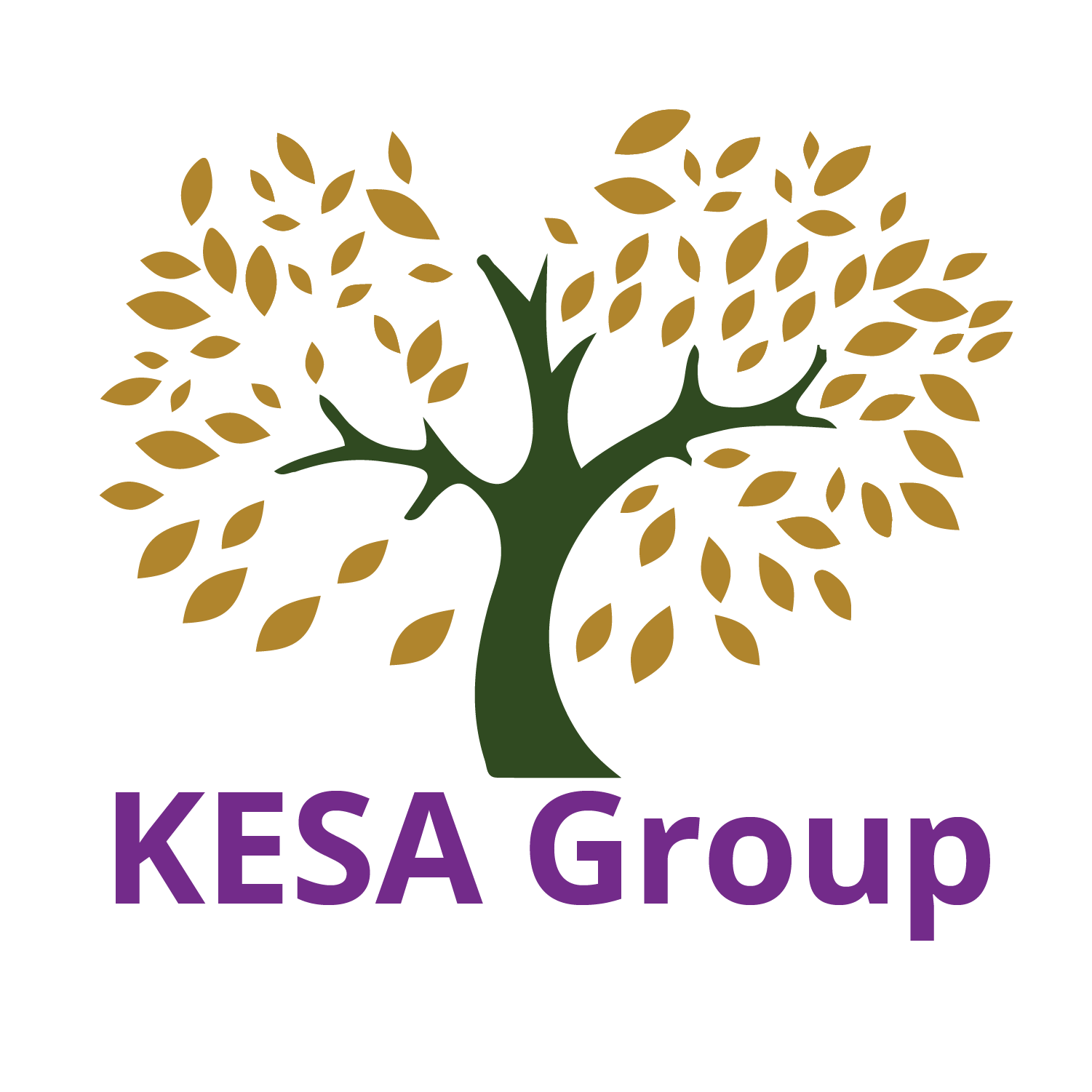 KESA Group